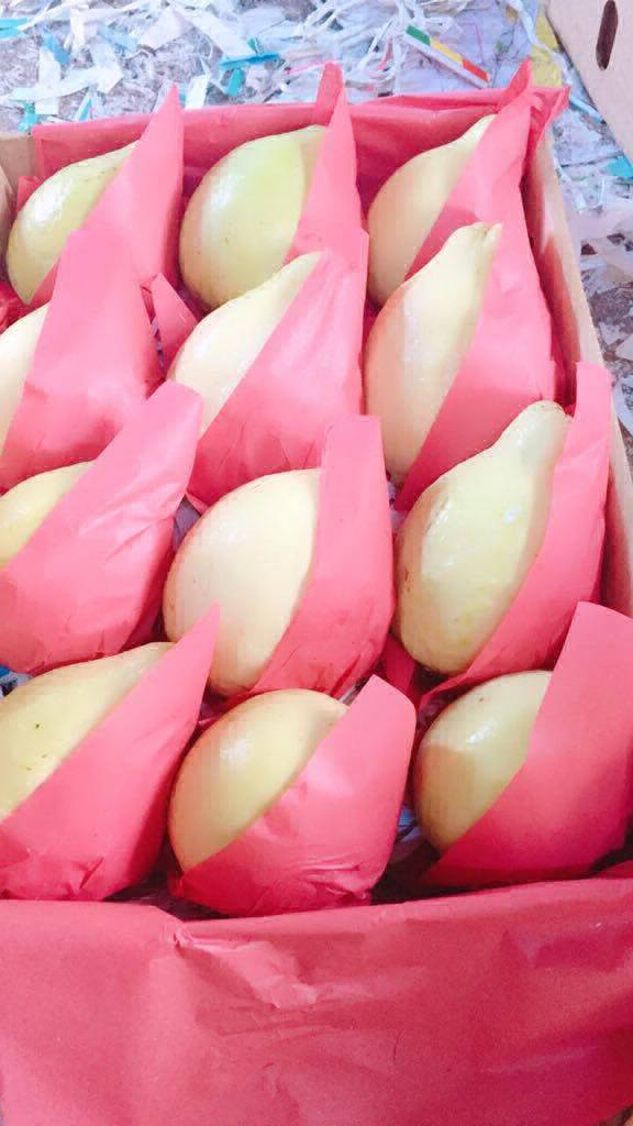 guava fruit