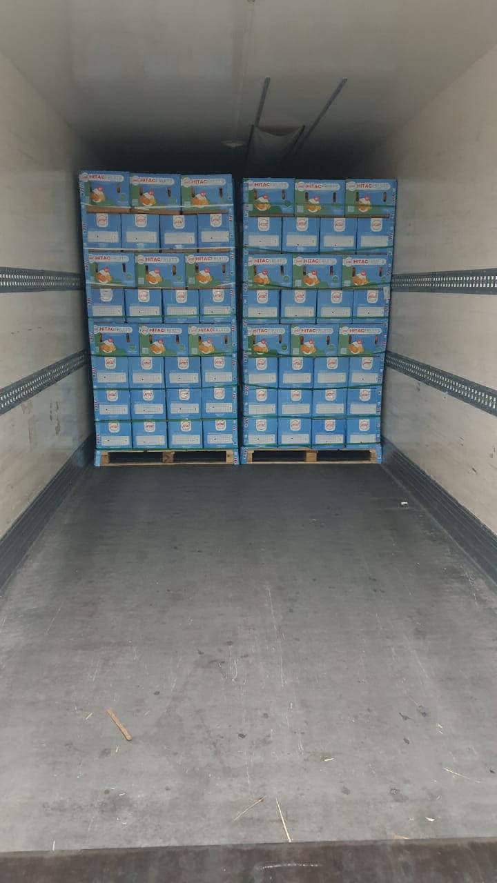 orange exporters in egypt