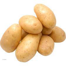 world potato exporter