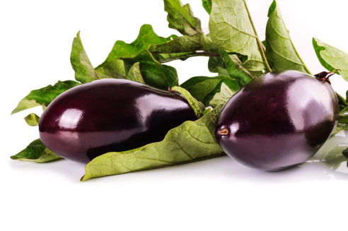 Eggplant - Aubergine