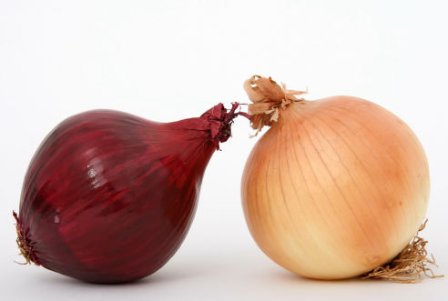 onion